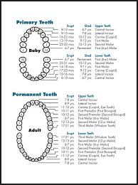 Increase in hydrogenated oils and decrease in saturated fat. Baby Teeth Numbering Shefalitayal