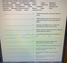 Solved Match These Terms With The Correct Statement Or De Chegg Com