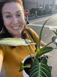 Lettuce with more flowers than leaves, identification?