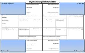 Biogeochemical Cycles Note Taking Retrieval Chart