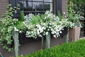 Via a pretty mirror for a dressing table source unknown a basket of. 1000 Images About Window Boxes Amp Hanging Baskets On Pinterest Window Box Flowers White Window Boxes Window Planter Boxes