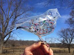 Bildergebnis für Kelly Heaton