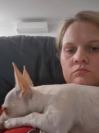 How to housebreak a Chihuahua?