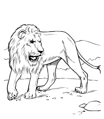 Maybe you would like to learn more about one of these? Beautiful Animals Drawings Sketch Animal Vista Coloring Home