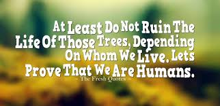 72 Environment Quotes Slogans Save Our Beautiful Earth The Fresh Quotes In 2020 Environment Quotes Love You More Quotes Inspirational Quotes For Facebook