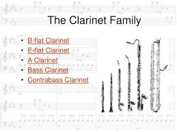 Musical Instruments And Their Families Ppt Download