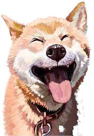 The fun and friendly internet currency. Download Doge Transparent Png Graphic Freeuse Stock Dog Png Image With No Background Pngkey Com