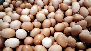 We did not find results for: Pakai Sistem Ini Peternak Ayam Petelur Bisa Tingkatkan Produksi