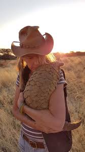 Maybe you would like to learn more about one of these? Bbc Two Natural World 2018 2019 Pangolins The World S Most Wanted Animal Pangolins The World S Most Wanted Animal Honey Bun And Maria
