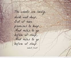 Winter Poem In 2020 Winter Poems Inspirational Words Before I Sleep
