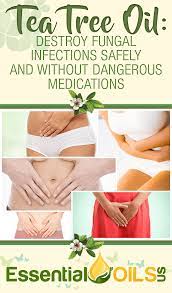 Pin On Essential Oils