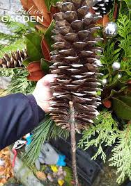 Large pine cone christmas ornament pine cone. How To Attach A Stick To A Pine Cone The Fabulous Garden