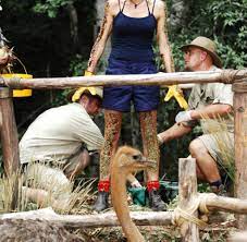Für die letzte dschungelkönigin, ingrid. Ekel Show Giulia Siegel Verlasst Freiwillig Rtl Dschungelcamp Welt