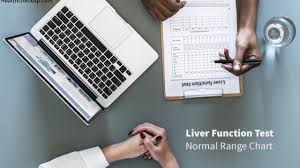The laboratory that completes your test may use normal ranges that differ slightly. Liver Function Test Normal Range Chart With Interpretation