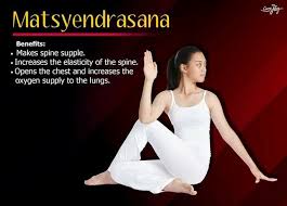 Pin By Parveen Kumar On Yoga For Beginners Easy Yoga Workouts Wellness Yoga Energy Yoga