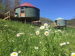We did not find results for: Tennessee Yoga Teacher Trainings Kula Collective