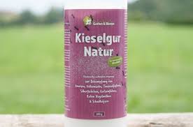 Die Rote Vogelmilbe Ursteirerhof Milben Huhner Haltung Starkung Des Immunsystems