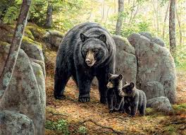 The extremely difficult lock box puzzle solved!! 1000pc Mama Bear Jigsaw Puzzle 80154 Cobble Hill Puzzle Co