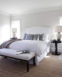 Platinum Paint Color Design Ideas
