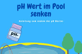 Algen Im Pool So Werdet Ihr Sie Wieder Los Poolkameraden De