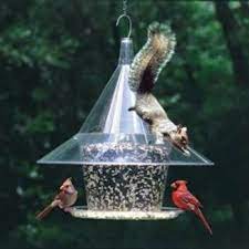 Five Inexpensive Ways To Squirrel Proof Your Bird Feeder Squirrel Proof Bird Feeders Bird Feeders Wild Bird Feeders