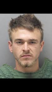 On the evening of Thursday 4/16/2020 officers with the Kaplan Police  Department made the following arrest. Ms. Ariel Denias was arrested for  criminal trespassing, driving under suspension, possession of a schedule II