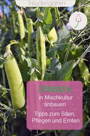 Beweise für das vergiften der pflanzen müssen her. Pin Auf Garten Ideen Tipps
