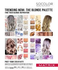 matrix hair color chart u2538500 sc blonde20binder v9r 1