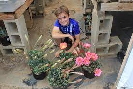 We did not find results for: Echinopsis Echinobivia Rainbow Burst Cactus Succulents Garden Succulents Cactus Care