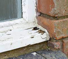 You may not be able to get all of it; Rotting Wood Windows And Moldy Frames What You Should Know