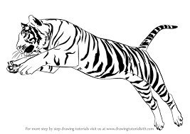 Tiger coloring page for grown ups. 28 Collection Of Cheetah Jumping Drawing High Quality Cat Steps Tiger Drawing Big Cats Art