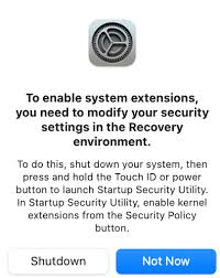 Allowing System Extensions For Apple M1 Computers Serato Support
