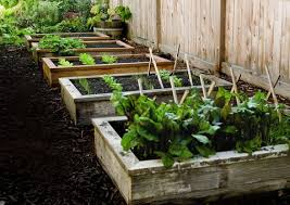 Raised beds can be a great gardening method to use for your vegetable garden. How To Start A Garden Build This Raised Garden Bed