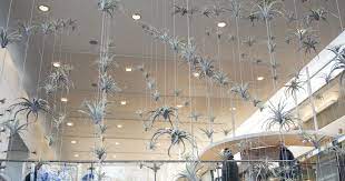 Restaurants ne1 microsoft way redmond or me the 10 best restaurants near microsoft visitor center in redmond wa tripadvisor best dining in redmond washington reihanhijab from i0.wp.com erected in the nineties, this property has 1,441 sqft of living area. Microsoft Cafes Dish Up World Class Dining Choices Microsoft Life