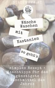 Pin Auf Nachhaltig Leben Nachhaltigkeit Und Wissenswerte Guides Zum Thema Green Lifestyle