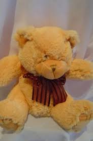 Check out our collection of plush toys online. Teddy Bear Same Day Delivery Newcastle With Fresh Flowers