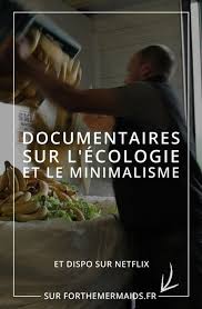 Forthemermaids Fr Blog Zero Dechet Minimalisme Documentaires Sur L Ecologie Et Le Minimalisme Dispo Sur Netflix Zero Dechet Dechets Blog Zero Dechet
