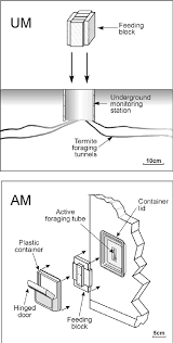 Dow agrosciences halo electronic termite detection system nos in unopened boxes 3/1 5 monitoring stations each box manufacturer: Underground Monitoring Stations Um Were Placed In Soil While Download Scientific Diagram