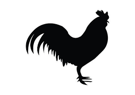 Chicken Silhouette Here Comes For A Free Download Have Eps Png And Jpeg Files Saved In High Resolutio Silhouette Vector Chicken Vector Silhouette Illustration