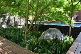 Rick Eckersley Timber Decking With Japanese Maple Garden Architecture Kew Gardens Landscape Design