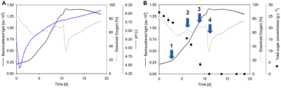 Maybe you would like to learn more about one of these? Characterizing Plant Cell Suspension Culture With Sfr Vario