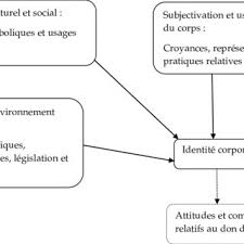 Le volume de sang prélevé pour un don est d'environ 450 millilitres. Pdf Mieux Comprendre Les Donneurs Le Don Du Sang Comme Expression De L Identite Corporelle