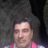 80+ "Moschillo" profiles