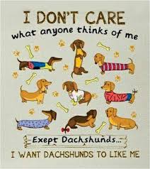 Dachshund Weiner Dog Dachshund Dog Quotes Funny Short Dog Quotes