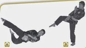 Tendangan lurus, yaitu tendangan yang menggunakan ujung kaki dengan tungkai lurus. Teknik Serangan Kaki Dalam Pencak Silat Anak Pandai