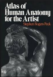 Atlas Of Human Anatomy For The Artist Pdf Free Download Human Anatomy For Artists Human Anatomy Anatomy For Artists
