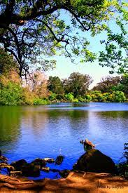 Beautiful Beautiful Photography Nature Landscape Photography Nature Scenic Photos