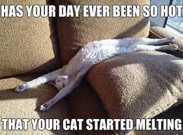 Meme generator, instant notifications, image/video download, achievements and. 33 Funny Summer Memes That Are Bringing The Heat Funny Gallery