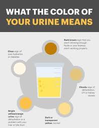 Color Of Urine Means In 2020 Color Of Urine Cloudy Urine Kidney Health