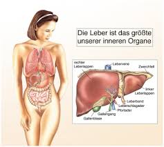 Gelbe Augen Ursachen Behandlung Hilfe Medlexi De
